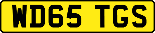 WD65TGS
