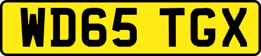 WD65TGX