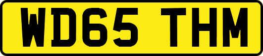 WD65THM