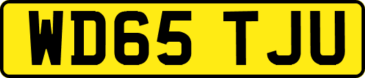 WD65TJU