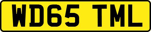 WD65TML
