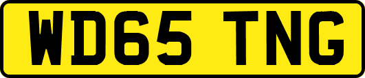 WD65TNG
