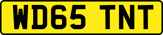 WD65TNT