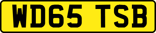 WD65TSB