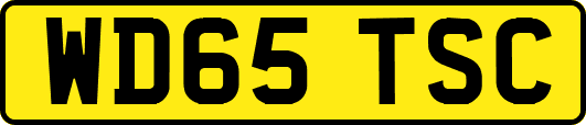 WD65TSC