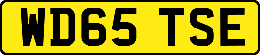 WD65TSE