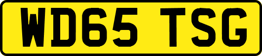 WD65TSG
