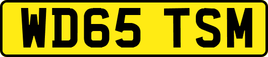 WD65TSM