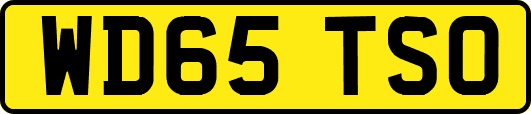 WD65TSO