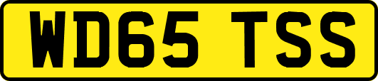 WD65TSS