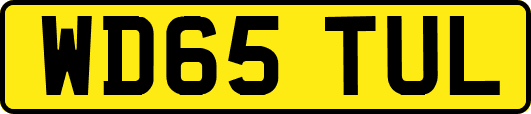 WD65TUL