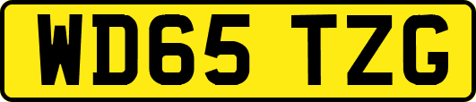 WD65TZG