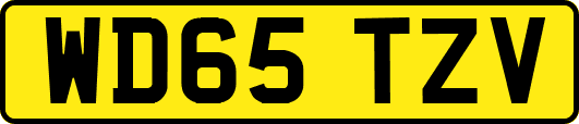 WD65TZV