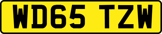 WD65TZW