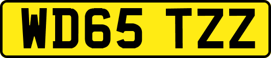 WD65TZZ