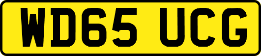 WD65UCG