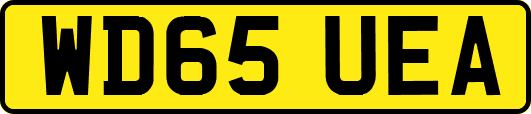 WD65UEA