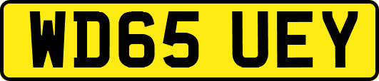 WD65UEY