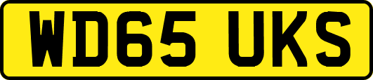 WD65UKS