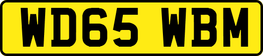 WD65WBM