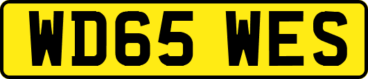 WD65WES
