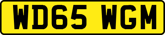 WD65WGM