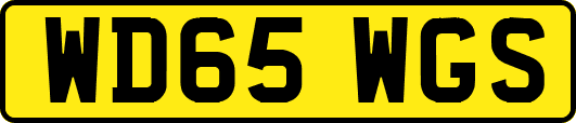WD65WGS