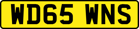 WD65WNS
