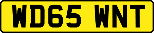 WD65WNT