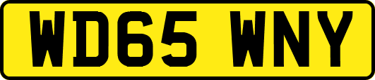 WD65WNY