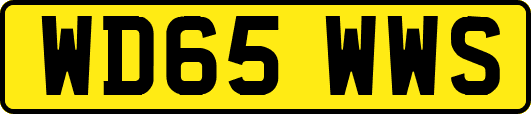WD65WWS