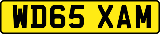 WD65XAM