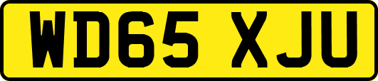 WD65XJU