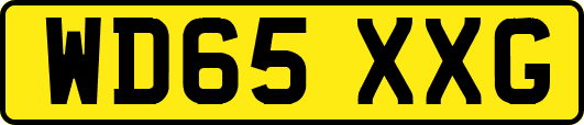 WD65XXG