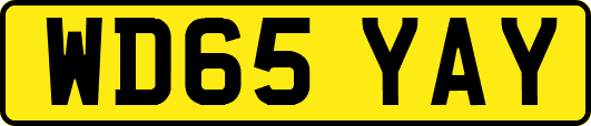 WD65YAY