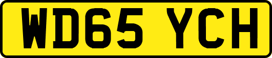 WD65YCH