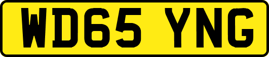WD65YNG