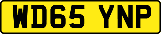 WD65YNP