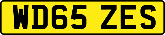 WD65ZES