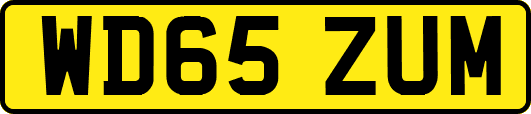 WD65ZUM