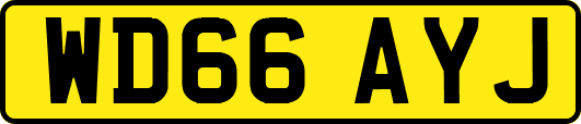 WD66AYJ