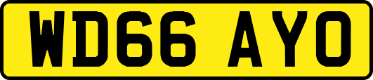 WD66AYO