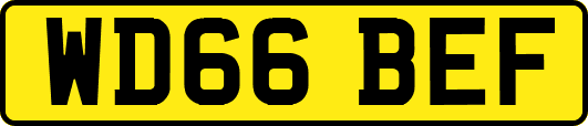 WD66BEF