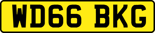 WD66BKG