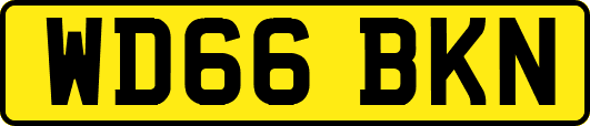 WD66BKN