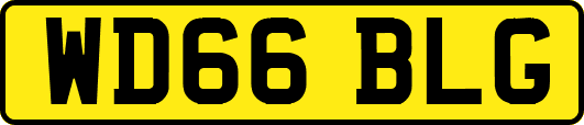 WD66BLG