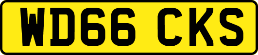 WD66CKS