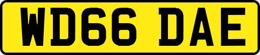 WD66DAE