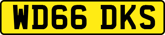 WD66DKS