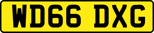 WD66DXG